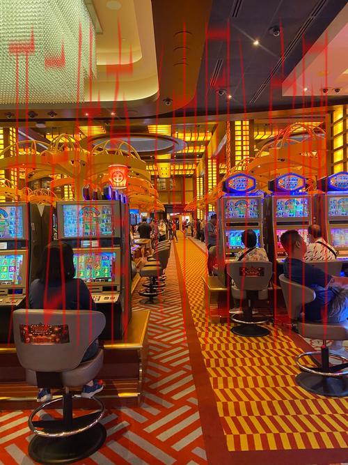 开云娱乐，打造属于你的娱乐新天地