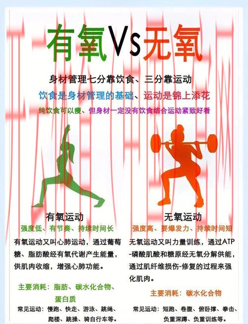 kaiyuncom体育，详解运动营养与健康饮食